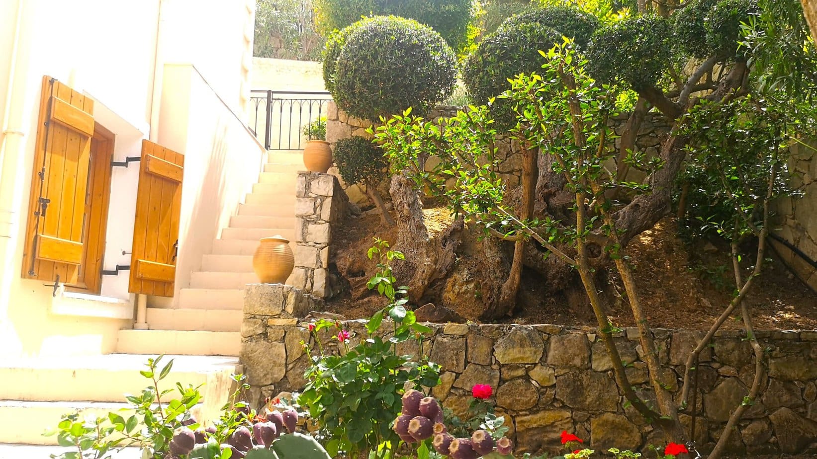 Mediterranean garden with flowers and established planting at Villa Koumos